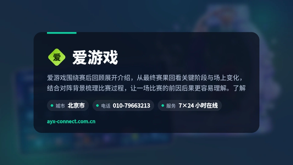 爱游戏概况